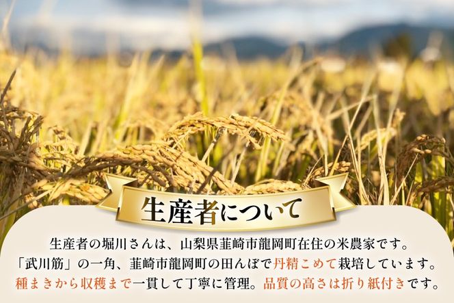 米 武川 コシヒカリ 10kg [韮崎翠緑 山梨県 韮崎市 20745564] こしひかり ふるさと納税 お米 おこめ こめ コメ 10キロ ご飯 ごはん 白米 国産