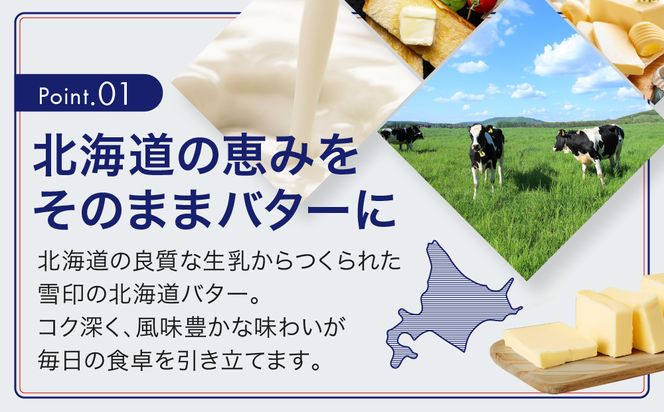 【6か月 定期便】切れてる 雪印 北海道 バター（10g×10個入）×5個【 乳製品 バター 雪印 朝食 ギフト　料理用 キャンプ 標茶町 北海道 】 016641_AX007