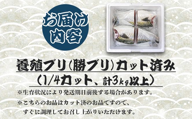ぶり カット済 1/4カット 計3kg以上 ny-0017