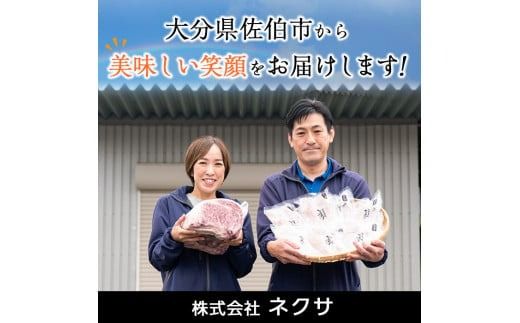 【試食用とり天2枚付】＜訳あり・お試し用＞地魚フライセット詰合せ (計4P・3種類以上) おかず おつまみ 惣菜 お惣菜 お弁当 詰め合わせ アジフライ さば 鯖 あじ 鯵 ぶり 鰤 冷凍 時短 小分け 魚 魚フライ ふるさと納税 【DH209-G】【ネクサ】