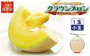 クラウンメロン（白等級）小玉　１玉入 果物類 メロン青肉 