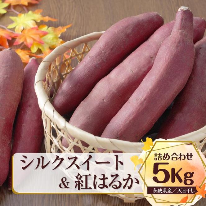 【先行予約】【2026年11月より順次発送開始】特選さつまいも　シルクスイート＆紅はるか詰め合わせ 約5kg｜さつまいも 芋 お芋 シルクスイート 紅はるか 詰め合わせ タネのハシモト 茨城県 行方市(BS-2)