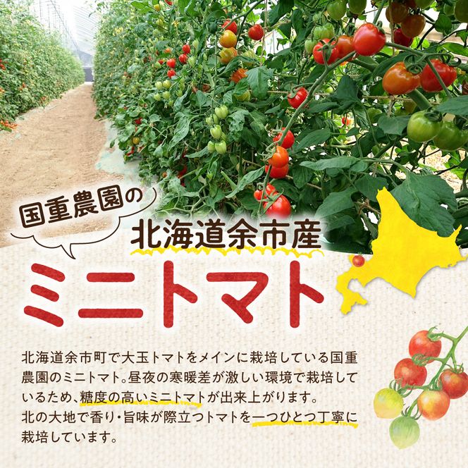 いちご型ミニトマト 「トマトベリー」 3Kg 自根栽培 濃厚 野菜 寒暖差 甘い 子供 サラダ_Y165-0001
