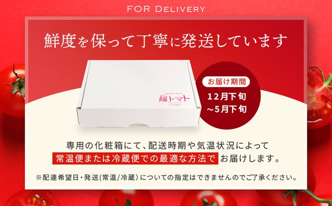 出雲の國からの贈り物～トマトを超えた超トマト１kg 322032_AT001