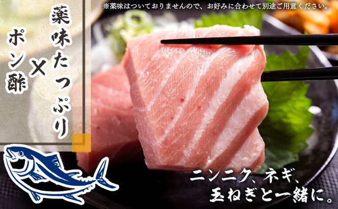 【2回定期便】まぐろ柵 5袋(500g以上) - 定期便 国産 刺身 ブロック 海鮮丼 漬け丼 煮物 生食 焼き物 鮪 マグロ 小分けパック 柵どり さく取り 海鮮 新鮮 魚介 産地直送 龍馬の海鮮隊 野島水産 高知県 香南市 Wnz-0083