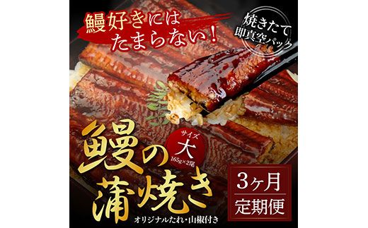 【CF-R7hbk】t119kgp　《3ヵ月定期便》人気惣菜 本気の高知ブランド鰻「西岡うなぎ」～上（大サイズ）～うなぎの蒲焼き2尾セット（約330g）タレ・山椒付き｜ウナギ 国産 特産品 鰻の蒲焼き 高知県産 土佐 グルメ 蒲焼 焼きたて 丼 うな重 ひつまぶし〈田野町共通返礼品〉