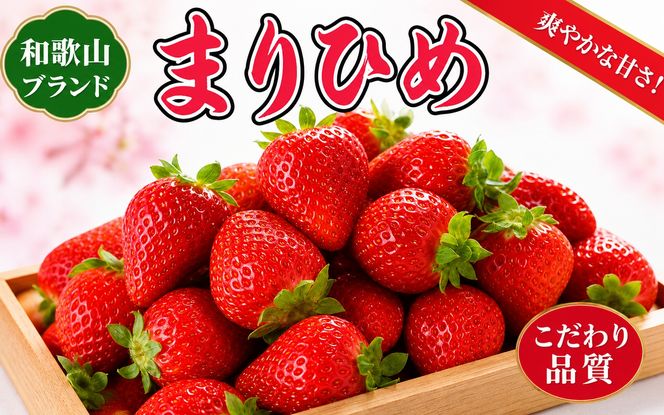 【来シーズン先行予約】紀州和歌山ブランドいちご「まりひめ」約250g×4P　※2027年3月上旬頃～3月下旬頃に順次発送予定（お届け日指定不可）【uot758B】