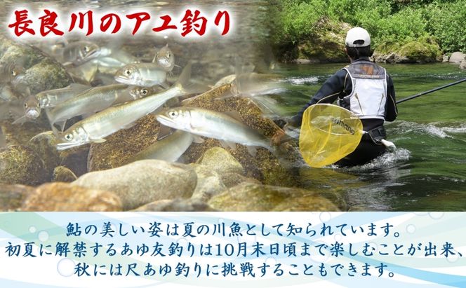 【長良川中央漁業協同組合】 鮎釣り 年間遊漁証 鮎 アユ あゆ 魚 釣り 遊漁証 川 解禁 初夏 秋 年間 友釣り 川魚 香魚 竿 さお 自然 豊か 塩焼き 家族 仲間 岐阜県 美濃市
