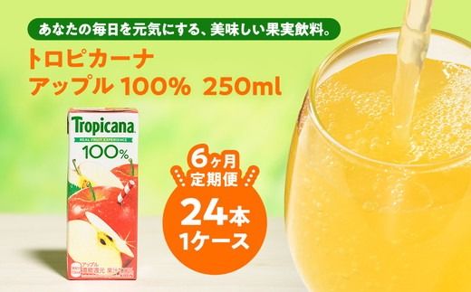 y錧푍szy6zgsJ[i 100 Abv 250ml LLX×24{ ւ̔zs