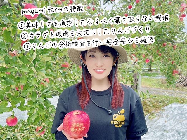 【11月中旬発送】数量限定 訳あり りんご 糖度14度以上 保証 家庭用 サンふじ 約 10kg 果物 高糖度 農家直送 megumi farm青森県 鰺ヶ沢町