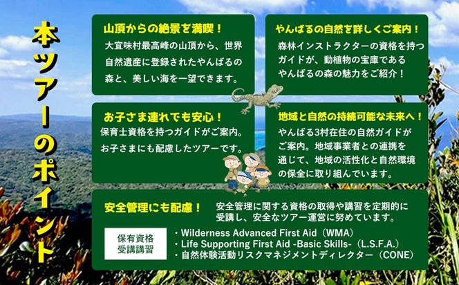 沖縄県北部やんばる・大宜味村最高峰ネクマチヂ岳を登る【2名様】