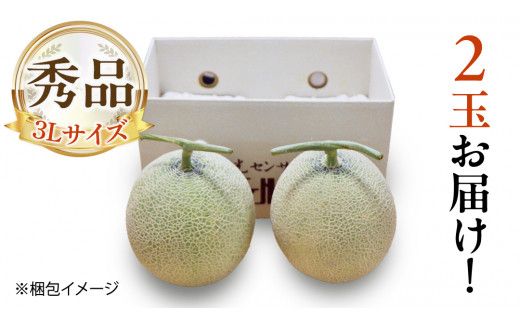 【 先行予約 】茨城県産 アールスメロン 秀品 3L サイズ × 2玉 入り 【 2026年8月下旬から発送 】 おすすめ JA全農いばらき JA メロン めろん ふるさと納税 フルーツ 予約 マスクメロン くだもの 果物 国産旬 定番 旬 期間限定 青肉 果物