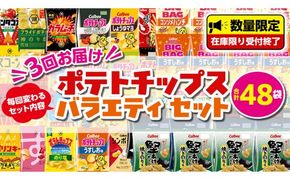 【 スナック菓子 3ヶ月 定期便 】 カルビー 湖池屋 人気 48袋 詰め合わせ バラエティ セット スナック ポテトチップス ポテチ ポテトチップ 菓子 お菓子 おかし おやつ おつまみ 大量 BIGBAG 堅あげポテト のりしお うすしお ブラックペッパー 頒布会 ジャガイモ じゃがいも まとめ買い [DA018us]
