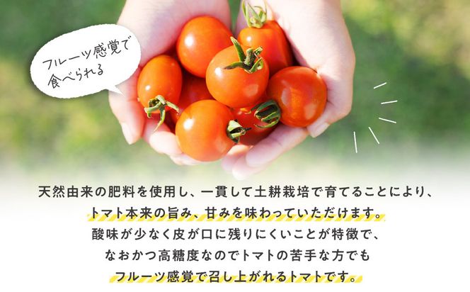 347.鬼のとまと◇　※2026年6月上旬～10月下旬頃に順次発送予定 313726_AX001