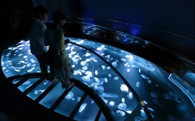 チケット 東京 すみだ水族館 年間パスポート引換券 大人1名 子供1名 入場券 優待券 年パス 旅行 SKYTREE 