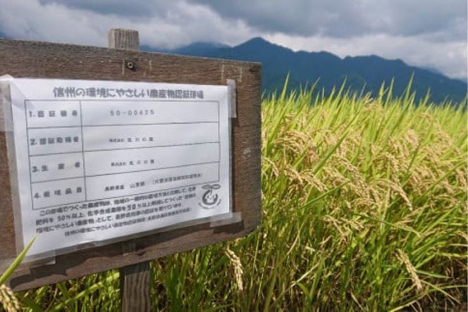 日本酒 飲み比べセット 大雪渓 安曇野 旨口トリオ 720ml 3本 セット [大雪渓酒造 長野県 池田町 48110826] 地酒 辛口 飲み比べ 長野 上撰 特別純米酒 純米酒 蔵出し原酒 酒 お酒 720 スッキリ