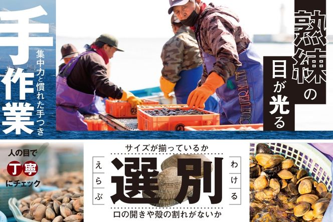 北海道　道東産 アサリ中 6kg (冷凍)　約 300g ×20 袋