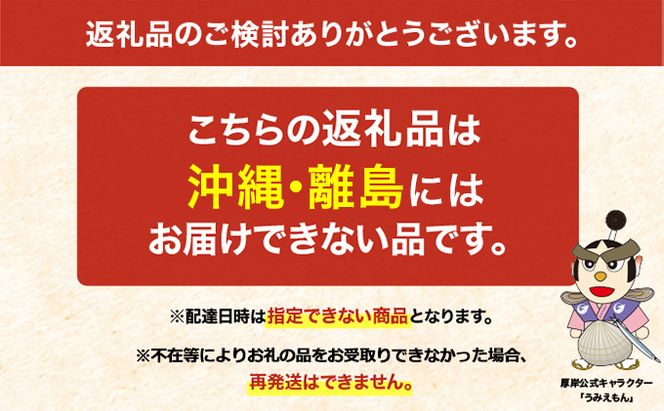 厚岸産ブランドかき カキえもん Lサイズ 15個セット 北海道 牡蠣 カキ かき 生食 生食用 生牡蠣 魚介類