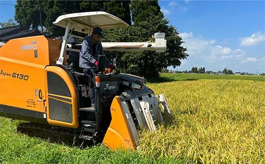 《数量限定》令和7年度産 富富富 玄米 10kg 米 お米 新米 ごはん おにぎり 富山 立山 北アルプス 健康志向 JGAP認定 F6T-847