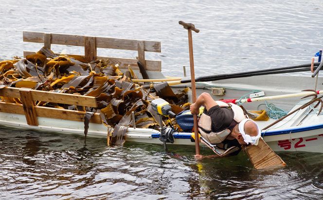 北海道 礼文島産 天然 利尻だし昆布 切り落とし 150g×1袋　利尻昆布 昆布 こんぶ コンブ 出汁 だし だし昆布 礼文町