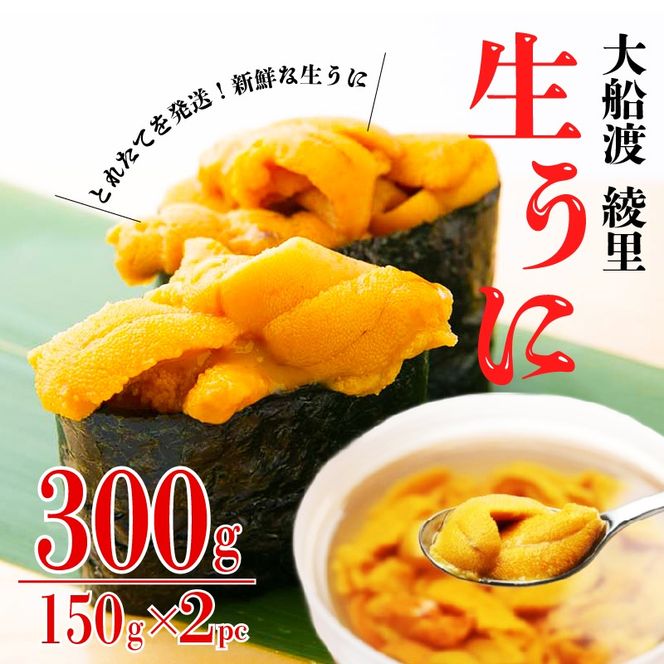 【期間限定】 水揚げ24時間以内発送 綾里の生うに 300g (150×2パック) 数量限定 ミョウバン不使用 岩手県産 冷蔵 ムラサキウニ [ 季節限定 生うに 生雲丹 天然 海鮮丼 寿司 ウニ丼 刺身 ] [ryorigyo001_5]
