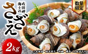 【数量限定】佐田岬海士のさざえ2kg ※北海道・東北地方・沖縄・離島への配送不可 IKTJ003