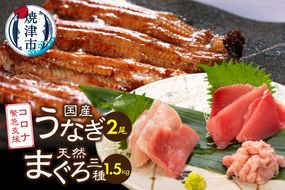 a35-017　家計応援　国産 うなぎ 鰻　バチマグロ ビンチョウマグロ まぐろ たたき　総重量約1.9kg