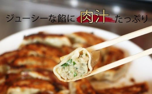 手作り 冷凍 ジャンボ 生餃子 合計 約2.5kg （ 6個 入り × 12パック ） 72個 10000円 餃子 ギョウザ ギョーザ ぎょうざ 国産 小分け 大容量 ごはんのお供 便利 日用 焼くだけ 簡単 調理 惣菜 加工食品 絶品 おかず おつまみ 晩ごはん 中華 野菜 豚肉 キャベツ 玉ねぎ にんにく 生姜 グルメ ビール ハイボール ごま油 お好み焼き ひらの