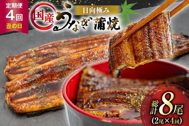 y{茧szȂ Y y N̓ G߂̒ z ɂ Ȃ 2 v240g [Tp[N {茧 s 452061507] Mtg  ^pbN V EiM Ȃ̊  Ă