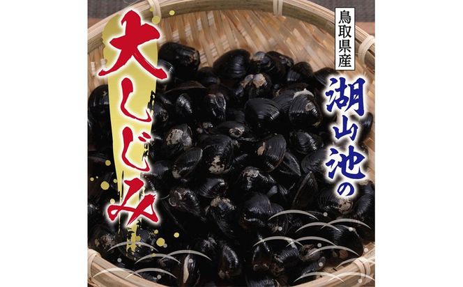 湖山池の大しじみ 312011_CB002