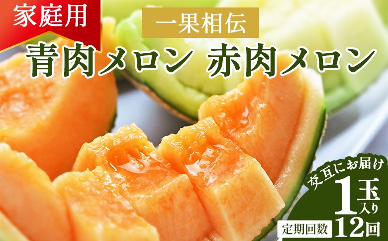 メロン 定期便[12回定期便]一果相伝 青肉メロン 赤肉メロン 家庭用 1玉 交互にお届け - フルーツ フルーツ定期便 果肉 赤肉 青肉 マスクメロン Wtn-0053