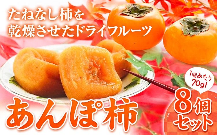 和歌山県産 あんぽ柿 70g×8個セット 紀の川市厳選館 [90日以内に出荷予定(土日祝除く)] 和歌山県 紀の川市 種なし柿 干し柿 ドライフルーツ カキ かき ジューシー フルーツ 和菓子---wsk_gsk44_30d_23_12000_8k---
