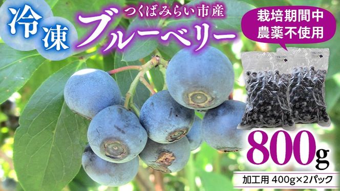 つくばみらい市 産 冷凍 ブルーベリー 800g ( 400g ×2パック ) 国産 農薬無使用 自家農場 果物 就労継続支援 フルーツ おいしい 冷凍ブルーベリー フリーズ ［DG02-NT］