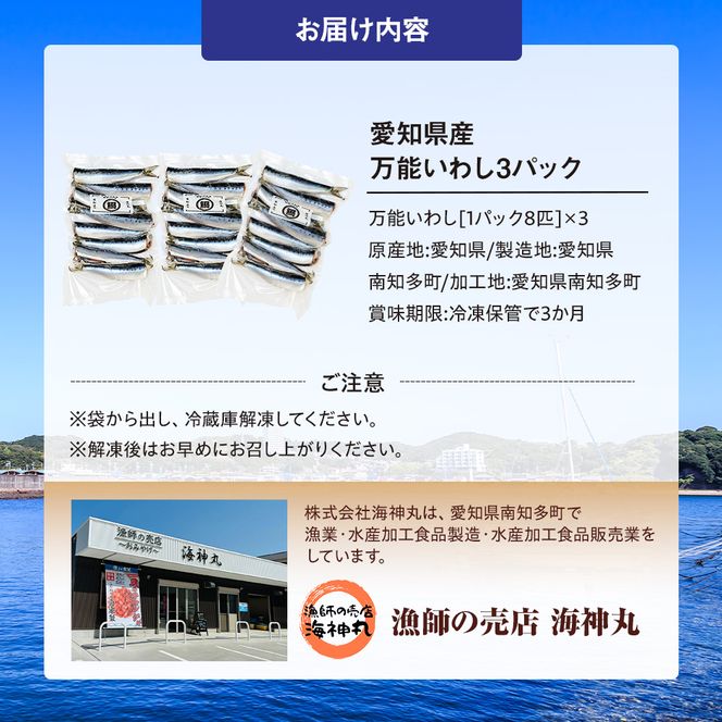 万能いわし 8匹 (約160g～180g) × 3袋 下処理済み