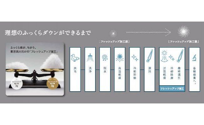 【nishikawa/西川】羽毛ふとん/ジーリンホワイトグースダウン90％/シングル【P194W】（滋賀県　近江八幡市）