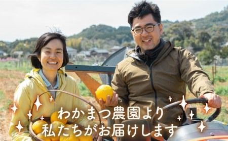 【全6回定期便】【 植物 由来 】 万能 濃縮 甘夏 みかん 洗剤 糸島市 / わかまつ農園 [AHB021]