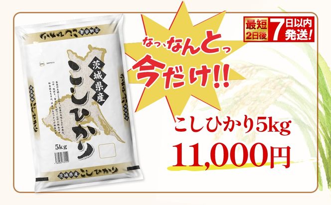 期間限定!! 【最短2日後7日以内発送】【令和7年産/白米】 こしひかり 5kg 茨城県産 米 小分け 2025年産 K2670
