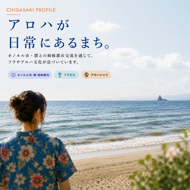 茅ヶ崎ビール (Weizen) 12本セット　【お酒　ビール　クラフトビール　瓶入り　化粧箱入り】 地ビール 瓶ビール アルコール飲料 家飲み 晩酌 バーベキュー BBQ 