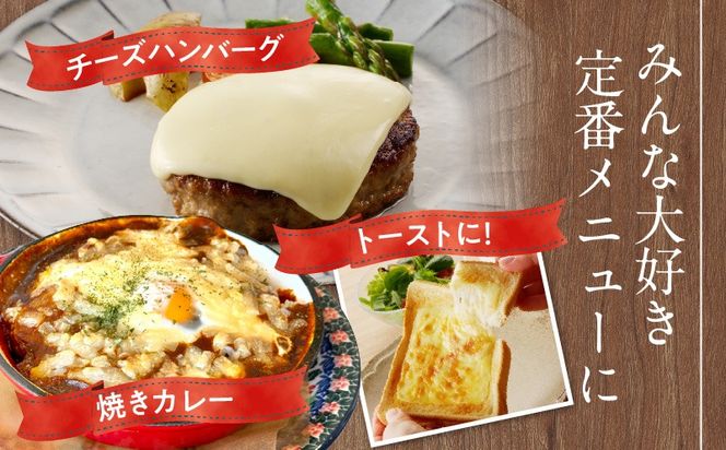 010B1636 【ムラカワチーズ】JUCOVIA スライスチーズ【食べ比べ 小分け 12P 普段使い 高評価 ちーず】