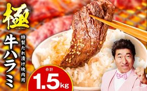 mrz0270-1 牛肉 ハラミ 1.5kg 小分け 300g×5P【氷温熟成×特製ダレ 味付き 牛肉 訳あり 不揃い 焼肉 BBQ 野菜炒め 圧倒的企業努力】