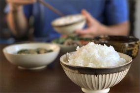 2025年産 京都・弥栄産 コシヒカリ 玄米5kg（栽培期間中農薬・化学肥料不使用）　HD00017