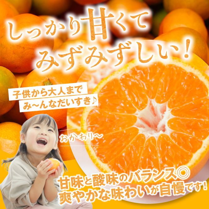 《2026年11月中旬～2027年1月中旬頃に順次発送予定》【2026年先行予約】有田みかん　L,2Lサイズ混合　約5kg_BF6070