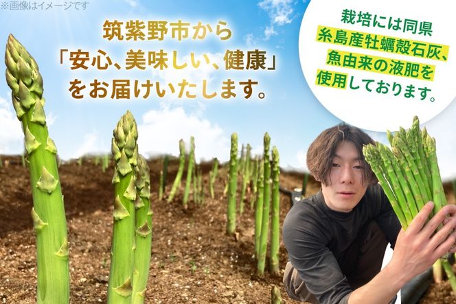【期間限定発送】 アスパラ グリーンアスパラガス L 1kg [ファームいまむら 福岡県 筑紫野市 21761485] アスパラガス グリーンアスパラ 野菜