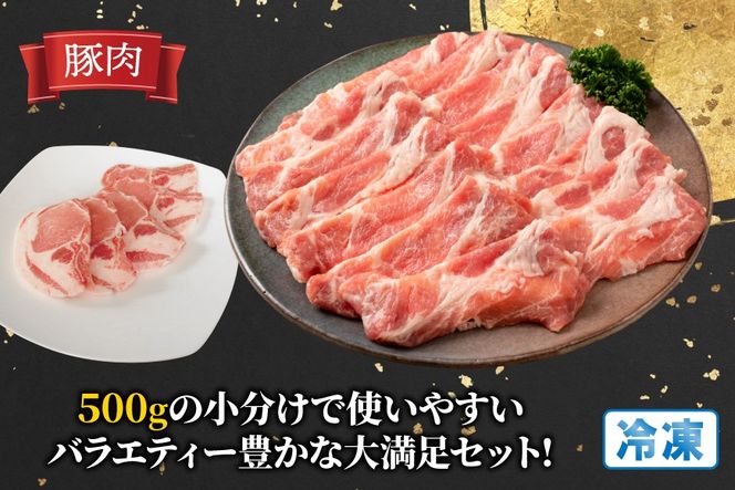 豚肉 鶏肉 宮崎県産 豚 鶏 3回 定期便 [南九フーズ 宮崎県 日向市 452061539] 切り落とし 小分け ロース とんかつ もも もも肉 鶏もも 鶏もも肉