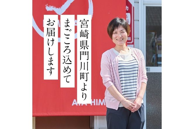 きくいもパウダー(計80g・40g×2袋)菊芋 粉末 イヌリン 食物繊維 栽培期間中農薬・化学肥料不使用 チャック袋 保存料不使用 腸内環境 血糖値 宮崎県産 国産【AY-8】【AYA-HIMUCA】