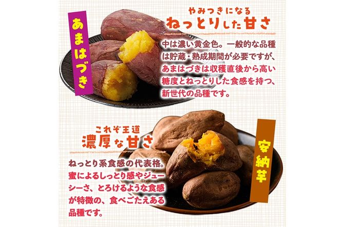 ＜先行予約受付中！2026年10月から順次発送予定＞おやつ芋 あまはづき 安納芋 冷凍 焼き芋 (計12個・3個入り×各2袋) 焼芋 やきいも さつまいも さつま芋 レンジ あまはづき 安納芋 小分け おやつ 【YO-27】【株式会社陽】
