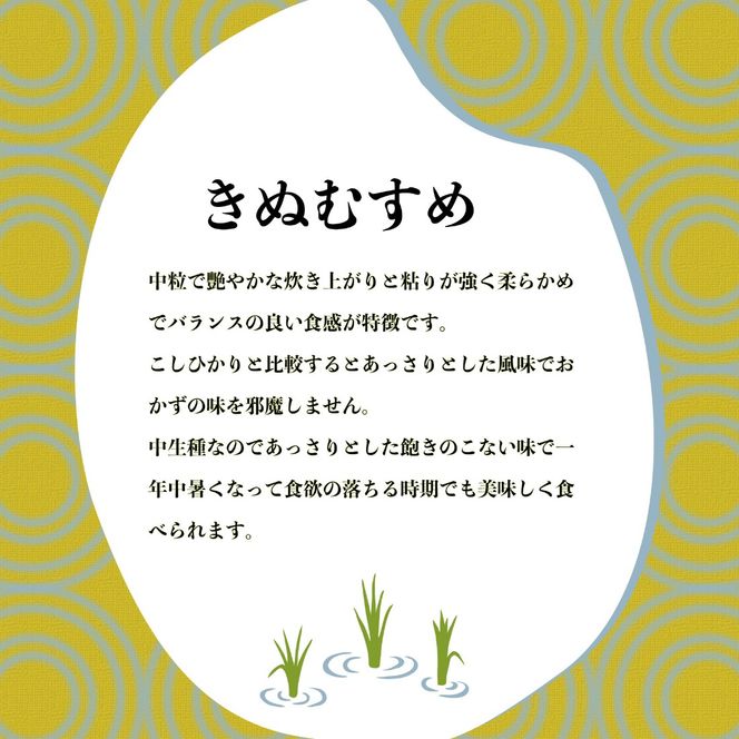 米 きぬむすめ 2kg 農家直送 特別栽培米 精米 お米 中生種 新生活 贈り物 人気米 おにぎり ご飯 白米 コメ 贈答 静岡県 藤枝市