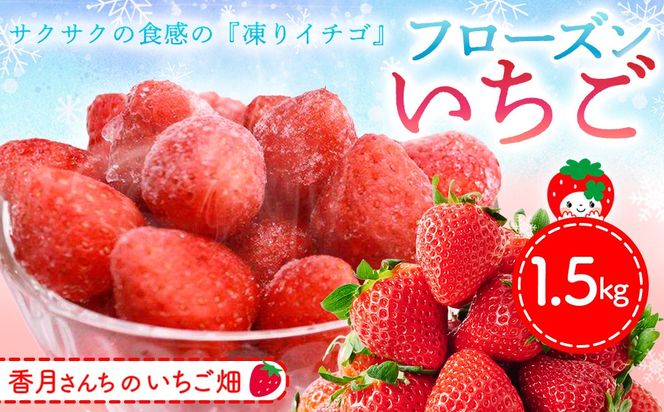 フローズンいちご 1.5kg【フルーツ フローズン ジャム スムージー 冷凍 解凍 練乳 牛乳 砂糖】(H017122)