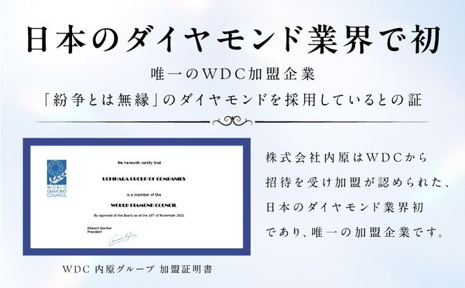J001-4 ARC-EN-CIEL プラチナ ダイヤリング（計 0.50ct）【鑑別書付き ジュエリー プレゼント ギフト ファッション アクセサリー 贈り物 贈答 お祝い 記念日】