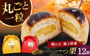【老舗の菓子屋 鹿の子】和菓子 「一つ栗」 12個《築上町》【有限会社 御菓子司 鹿の子】[ABAC023]